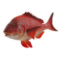 thumbnail image 4 of HILABEE Figurines d'Animaux Réalistes Action Marine Jouets Éducatifs Rouge Rouge Vivaneau, 4 of 9