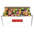 thumbnail image 1 of Chupa Chups Lollipops, Assorted Assortment, Individually Wrapped, 10 lbs (4.5 kg), 1 of 8