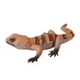 thumbnail image 4 of Figure Soft Reptile Toy Educational Toys Hand Painted Crafts Party Favors D, 4 of 9