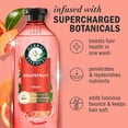 thumbnail image 2 of Herbal Essences Volume + Body Grapefruit Shampoo, 400ml, 2 of 12