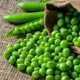 thumbnail image 1 of GSDWIUEW Green Arrow English Pea Seeds for Planting, 25 Gram Packet-100+ All Heirloom Seeds-Plant in Spring or Late Summer for Fall Harvest, 1 of 8