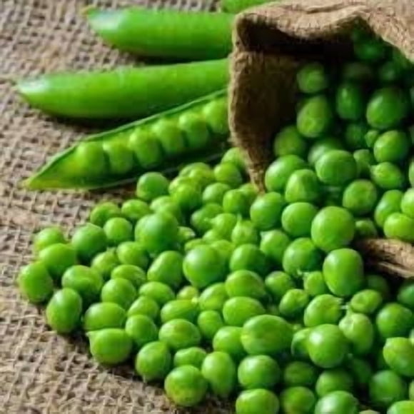 GSDWIUEW Graines de Pois Anglais à Flèche Verte pour la Plantation, Sachet de 25 Grammes-100+ Toutes les Graines Patrimoniales-plante au Printemps Ou à la Fin de l'Été pour la Récolte d'Automne