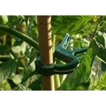 thumbnail image 3 of 60 pcs (2 sizes in one pack) Plant Clips Plant Clips Ideal for Securing Plants Supports planting, 3 of 4