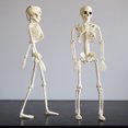 thumbnail image 4 of Kcavykas Home, Garden Halloween Skeleton Ghost House Decoration Props Skeleton Moving Skeleton Simulation Human Skeleton Decoration, 4 of 8