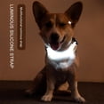 thumbnail image 3 of MesaSe MesaSe PENGXAING Chien LED Collier Multi-Fonction Corde de Traction Collier Lumineux Sangle Rose, 3 of 6