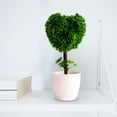 thumbnail image 3 of LUXLEVO Heart Shaped Bonsai Mini Potted For Home Desk White Small Ornamental Tabletop Flowers Centerpiece, 3 of 6