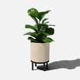 thumbnail image 2 of Veradek Mason Series Raised Demi 12" Plastic-Stone Planter with Stand - Sand/Black, 2 of 9
