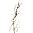 thumbnail image 1 of 90cm Fake Tree Branches Rattan Artificial Flower Vine Home Hotel Wedding DIY Decoration;90cm Fake Tree Branches Rattan Artificial Flower Vine Wedding DIY Decor, 1 of 6