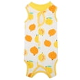thumbnail image 2 of Combinaison de Convalescence pour Chat Combinaison de Convalescence pour Chaton Grenouillère pour Chat Alternative au Collier en E pour Chats et Chiens Peau Abdominale Pyjama Anti-Léchage, 2 of 8