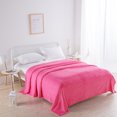 thumbnail image 1 of TopLLC Soft Microfiber Flannel Blankets For Couch Bed Sofa Ultra Warm For All Seasons, 1 of 3
