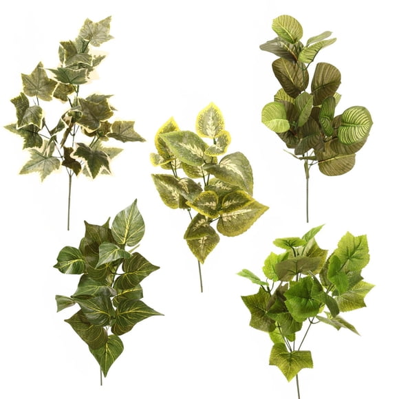 Assorted foliage stems