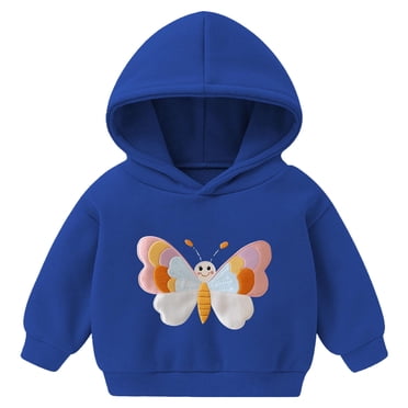 Akiihool Zip Up Hoodie Kids Toddler Lightweight Hoodie Sweatshirt, Kids Boys Girls Sports Long Sleeve Pullover Tops (Blue,2-3 Years)