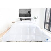 Highland Feather 600 Fill Power White Goose Down Duvet 700TC Pure Cotton Casing with Corner Ties VAASA, Summer, Queen, 30 OZ