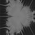 thumbnail image 1 of Ahgly Tapis d'Intérieur Lavable en Machine Carré Noir Charbon, 6 Pieds Carré, 1 of 7