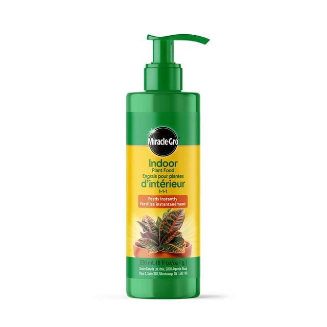 Miracle-Gro Indoor Plant Food 1-1-1 236mL green pump bottle with yellow label featuring a potted houseplant, designed to instantly feed and fertilize indoor plants including succulents with a built-in pump dispenser.