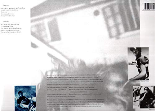 Sting - The Dream of the Blue Turtles (vinyl)
