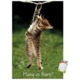 thumbnail image 1 of Famous Kitten Hang In There Poster Wall Poster, 22.375" x 34", 1 of 5
