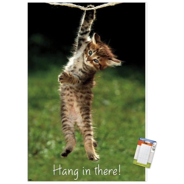 Famous Kitten Hang In There Poster wall poster showing a brown tabby kitten hanging by one paw from a rope against a blurred green background, with white 'Hang in there!' text at the bottom, printed on glossy FSC-certified poster paper, sized 22.375 by 34 inches, suitable for bedroom, office, or dorm wall decor.