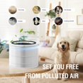thumbnail image 2 of Air Filter Replacement Compatible with Puro 240 Air Purifier, 3-in-1 Filtration System Filter Replacement, HP-14 with Activated C, 2 of 5