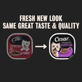 thumbnail image 2 of Cesar Classic Loaf in Sauce Filet Mignon Flavour Soft Wet Dog Food, 2 of 10