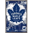 thumbnail image 1 of NHL Toronto Maple Leafs - Maximalist Logo 23 Wall Poster, 22.375" x 34", 1 of 4