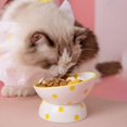thumbnail image 4 of 200ml Ceramic Tilted Raised Cat Food Bowl Slant Porcelain Pet Cat Dish Accessory Yellow Dots, 4 of 8