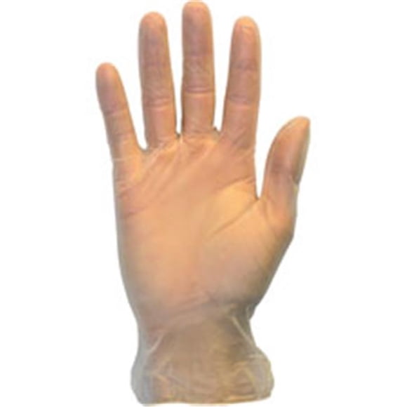 The Safety Zone SZNGVP9LGHH Powder Free Clear Vinyl Gloves - Clear, Large