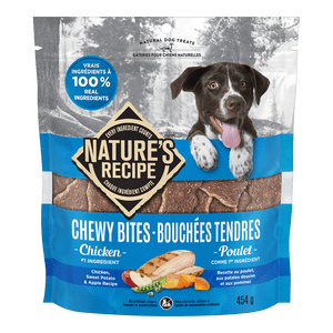 Natures Recipe Nr Bites Ckn 454G