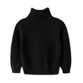 thumbnail image 1 of Dealovy Toddler Baby Sweaters Solid Color Pullover Basic Top Kids Fall High Neck Long Sleeve Cotton Blouses, 1 of 3