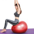 thumbnail image 3 of Exercise Ball, Stability Ball , Fitness Ball for Posture, Balance, Yoga, Pilates, Core, & Rehab, 3 of 5