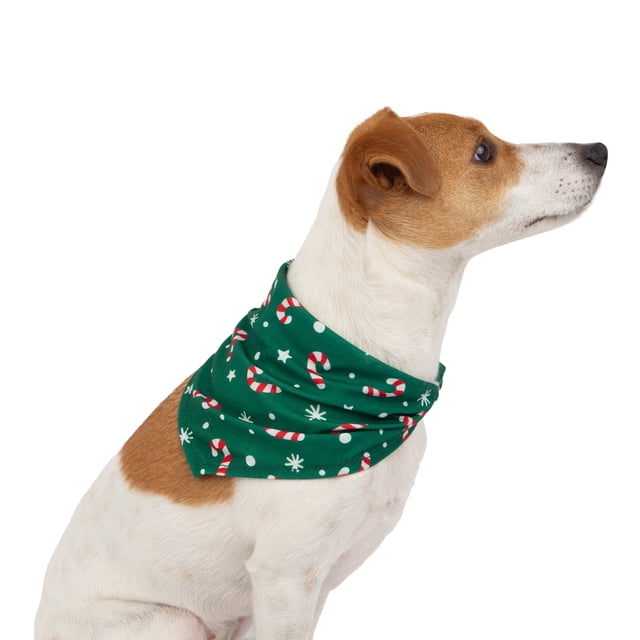 One Paw Holiday Bandana dog accessory in green with candy cane and snowflake holiday pattern, worn by a white and brown dog in side profile. Made from soft, lightweight TC jersey fabric, this festive dog bandana offers a comfortable fit for seasonal fashion wear.