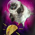 thumbnail image 3 of Hanes Mens Graphic Tee, M, Taco Quest, 3 of 3