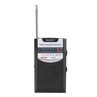 Birdeem Fm Two - Radio Vintage Mini Rétro Radio Portable Am Radio Fm Haut-Parleur Intégré