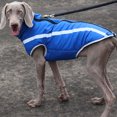 thumbnail image 3 of relayinert Polyester Made Dogs Jacket Durable And Scratch-proof Exquisite Craft Reflective Dogs Jacket Safe Blue 4XL, 3 of 6