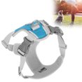 thumbnail image 4 of Dog Harness,No Pull Pet Harness With 2 Leash Clips, Adjustable Breathable Pet Harness With Reflective Trim Step In,Reflective Outdoor Pet Oxford Vest,for Cat Dog Outdoor Walking, 4 of 8