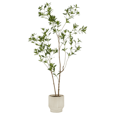 Bouclair Arbre de Pieris Japonais Blanc