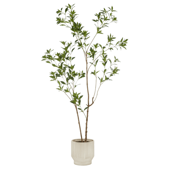 Bouclair White Japanese Pieris Tree