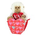 thumbnail image 1 of Way to Celebrate Valentine’s Day  Plush Toy In Gift Box, Monkey, 1 of 4