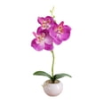 thumbnail image 1 of WRKEKC Clearance Fake Flowers Small Round Pot Phalaenopsis Three Flowers Bonsai Simulation Flower Arrangement Green Plant Simulation Potted Plants, 1 of 6