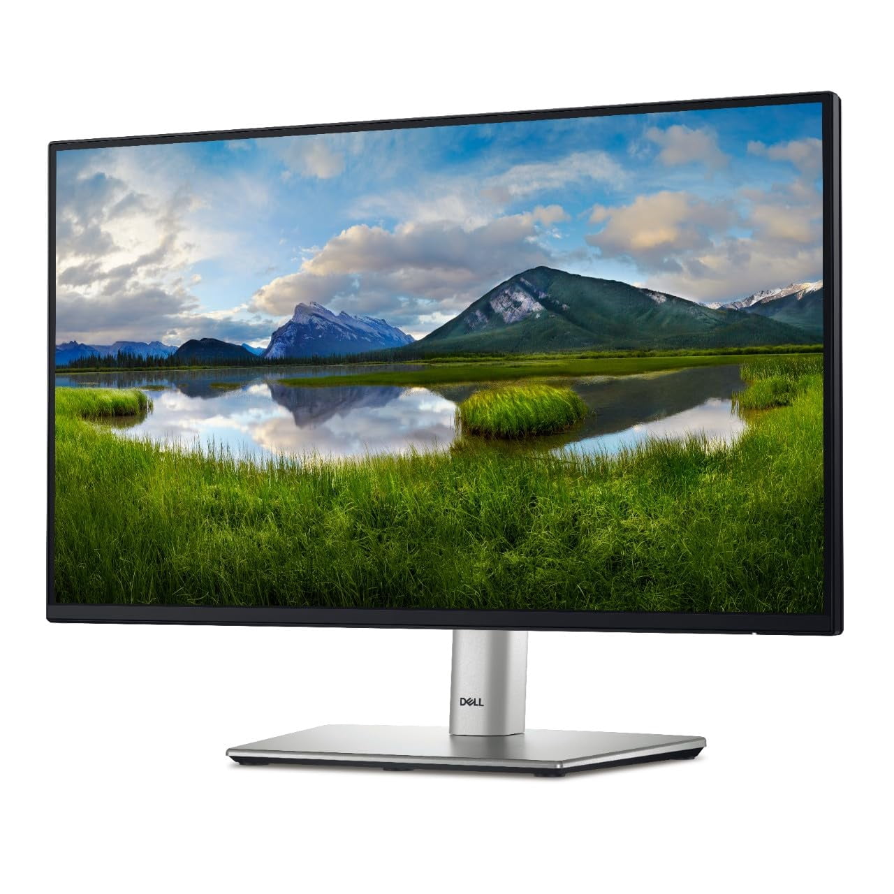 Moniteur LED Dell P2425H 24 po Full HD P2425H