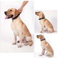 thumbnail image 4 of Dog Collar Heavy Duty Webbing Adjustable Buckle Collars for Medium Large Dogs Army Green, 4 of 8