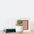 thumbnail image 2 of Flowerpots with Dish Ceramic, High Hardness Imitation Ceramic Plastic Flower Pot Large/Small White Succulents Planter Plastic Plant Pots White Plant Pots, Flower Pots, 2 of 7