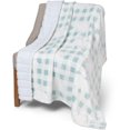 thumbnail image 3 of Safdie & Co. Throw Faux Fur Reversible Aqua Plaid Bear, 3 of 4