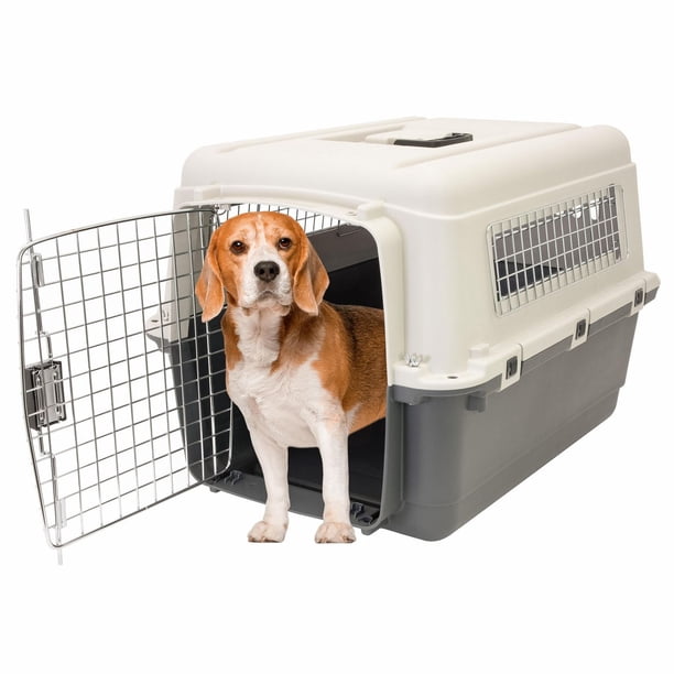 SportPet 27 Inch Durable Plastic Dog Kennel - Walmart.ca