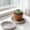 thickened pot base Under $5 a3, variant on SSZMDLB Flower Pot Saucer, Plastic Plants Tray Thickened Drip Tray for Potted Plants, Water Catcher Base for Indoor Outdoor Garden, Flower Pot Bottom Tray