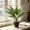 A, variant on Red Holly Artificial potted plants for indoor use suitable for decorating living rooms offices bedrooms and other home environments