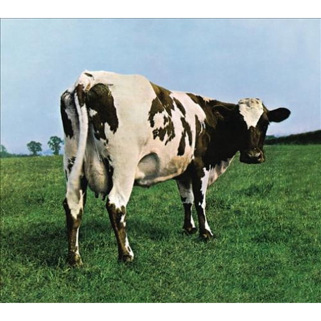 CD Mère du Cœur de l'Atome de Soie Rose