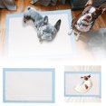 thumbnail image 1 of Hearth & Gear Revolutionize With Dog Thickened Odor Proof Pee Pad – Superior Odor Control For A Cleaner Home!, 1 of 4