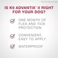 thumbnail image 2 of K9 Advantix II Flea and Tick Treatment for Extra Large Dogs (2 doses), 2 of 8