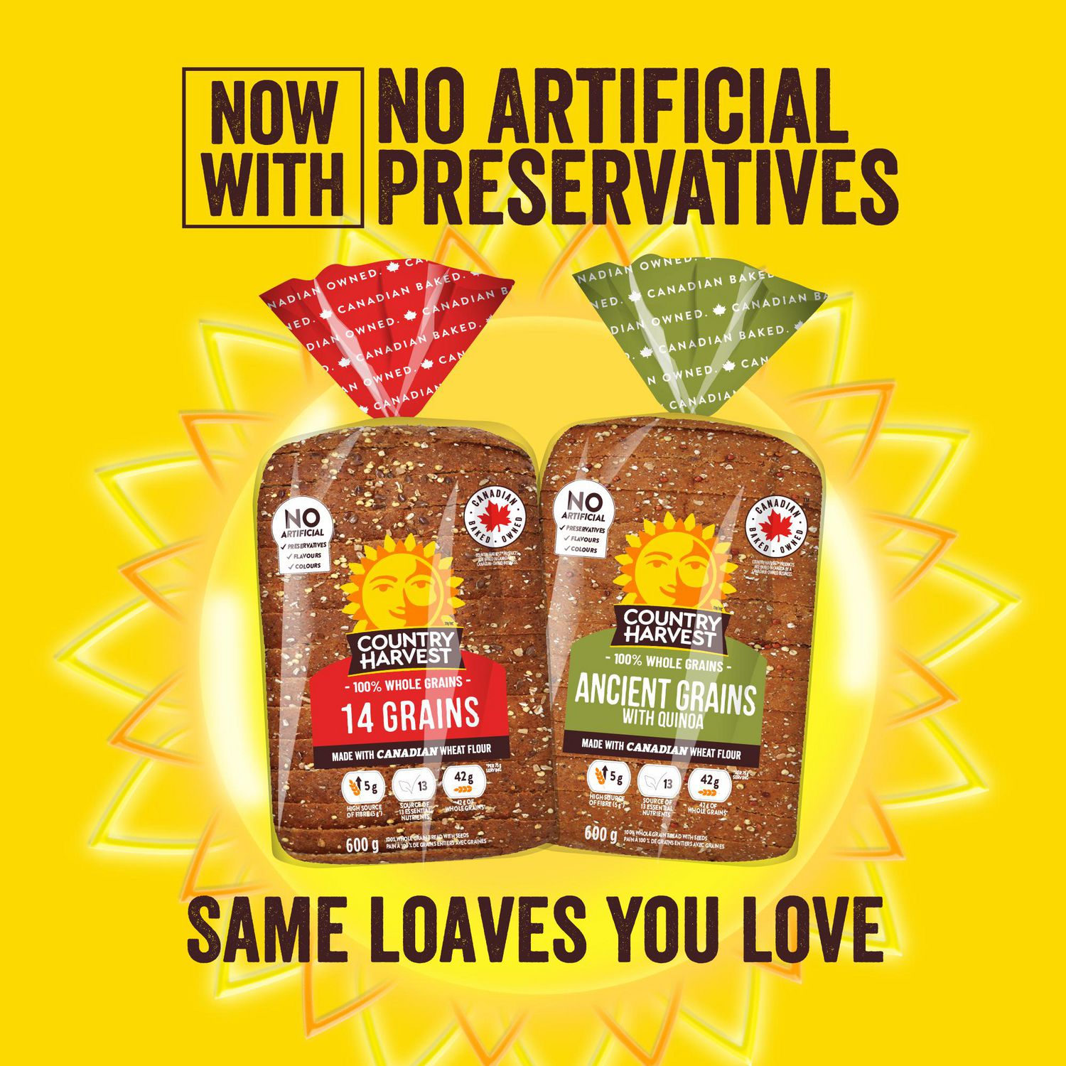 Country Harvest 14 Grains & Protein Sliced Bread, 12g Protein Per Serving, No Artificial Preservatives, Flavours or Colours, 600g